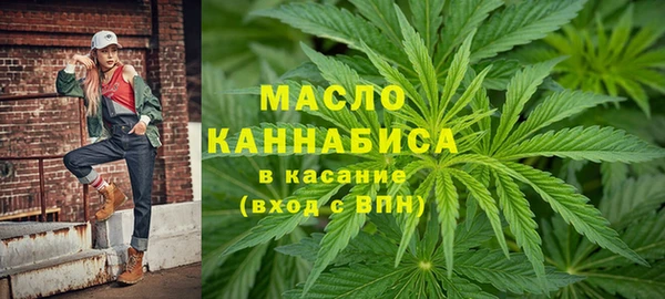 индика Заполярный