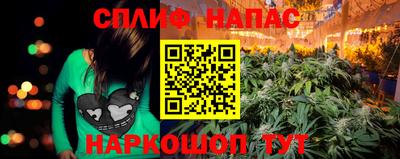 индика Канаш